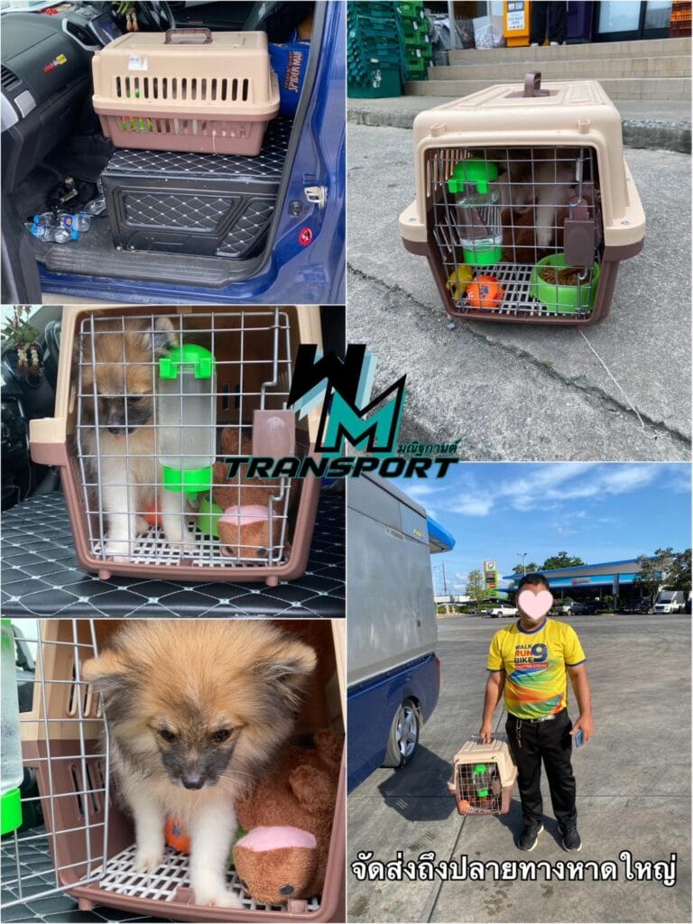 บริการ ย้ายบ้าน ย้ายหอพัก